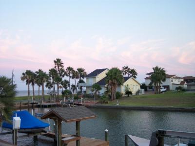 top pic palms-02Sep14-JoellenSimmons.JPG